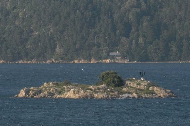 Ile wstecz L4 można dostarczyć w 2026 roku?